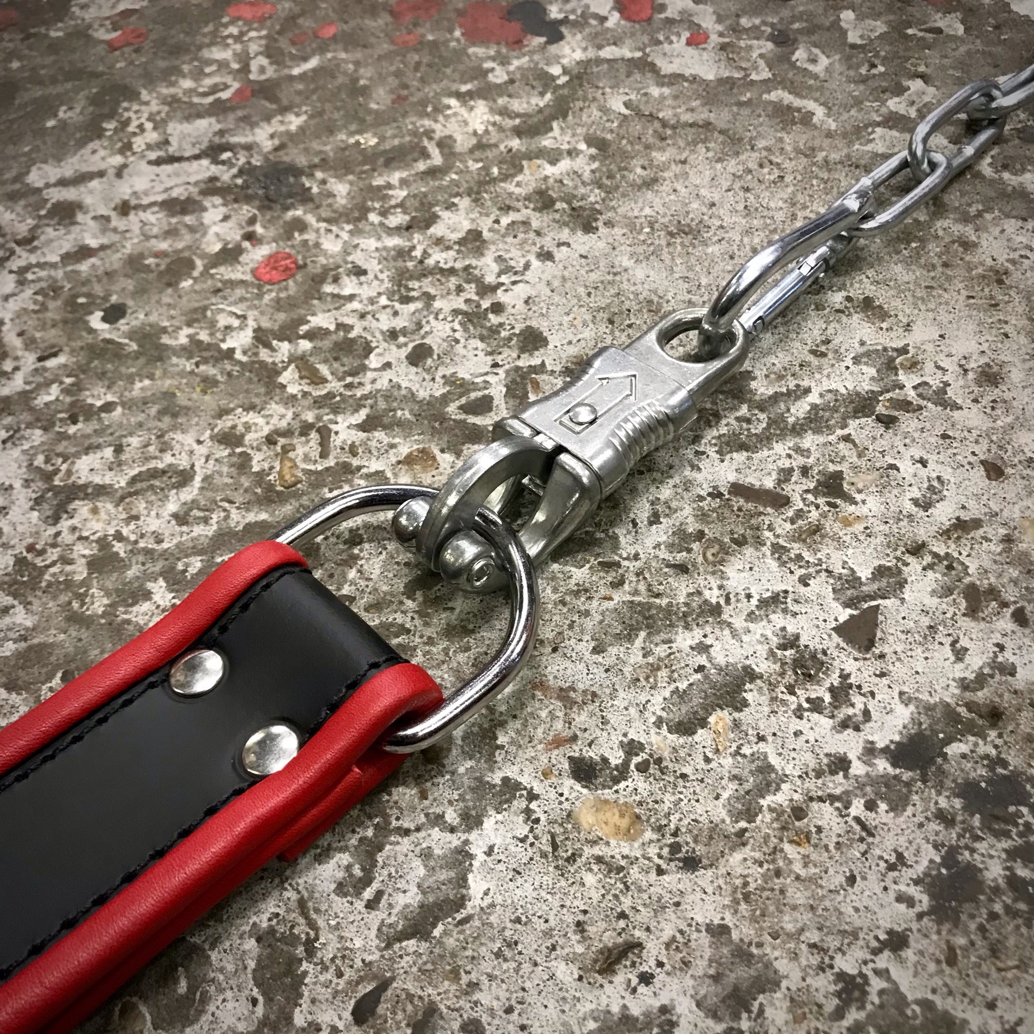 Paniek-sluiting Staal Verzinkt Met Vast Oog - Afbeelding 5