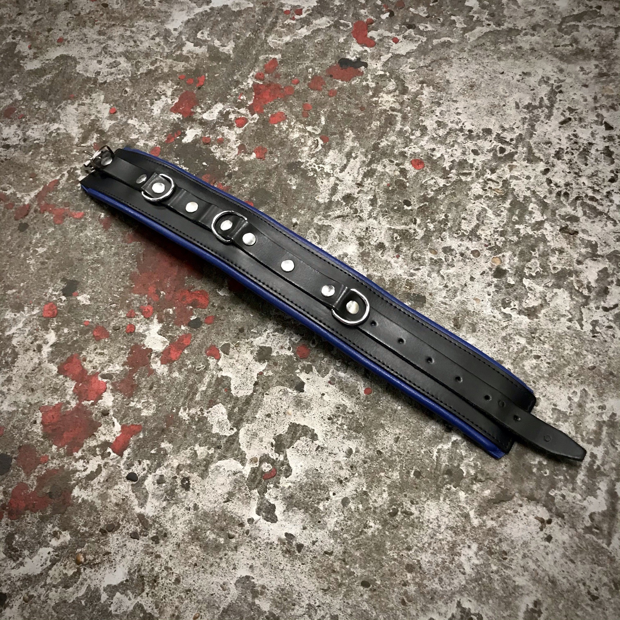 Neck-cuff Leather 6 cm. Black + Blue piping - Image 3