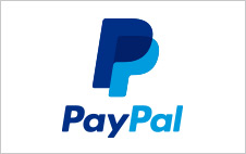 Steeltoys PayPal logo